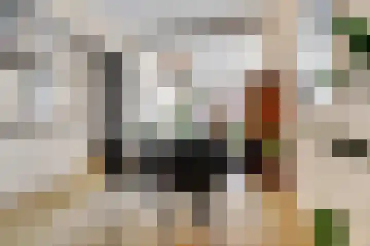 Annastraat 24 Arnhem thumbnail 11