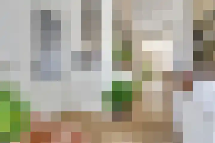 Annastraat 24 Arnhem thumbnail 16