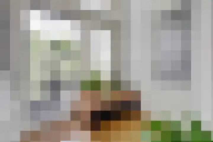Annastraat 24 Arnhem thumbnail 17
