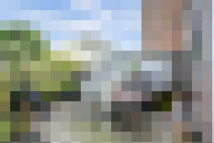 Annastraat 24 Arnhem thumbnail 18