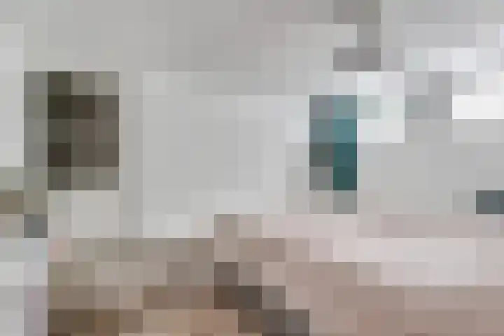 Annastraat 24 Arnhem thumbnail 25