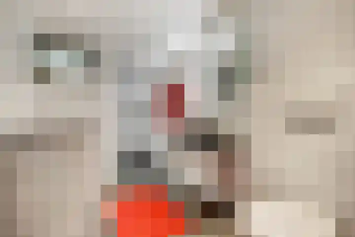 Annastraat 24 Arnhem thumbnail 30