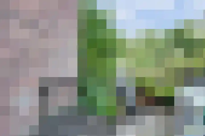 Annastraat 24 Arnhem thumbnail 35