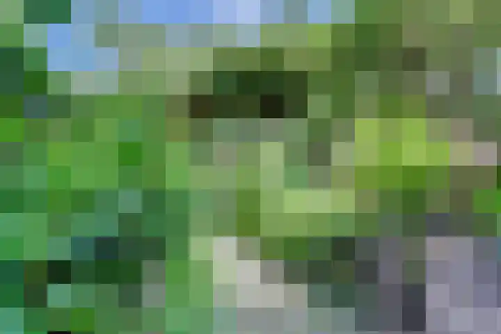 Annastraat 24 Arnhem thumbnail 38