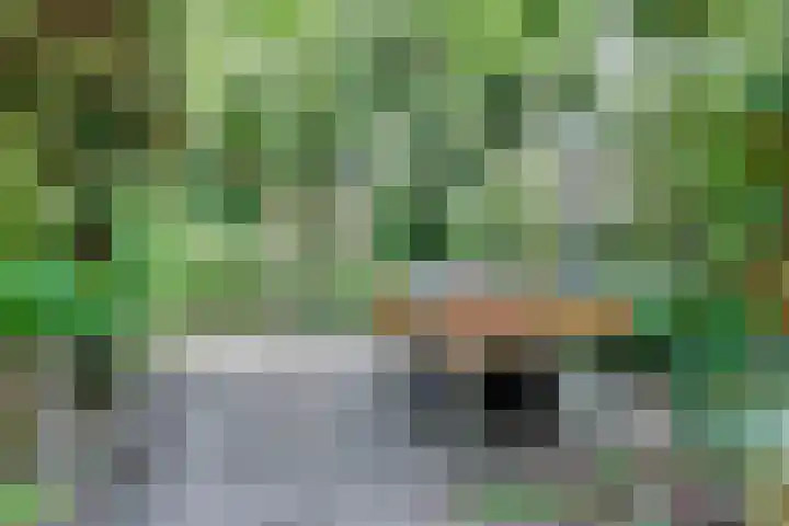 Annastraat 24 Arnhem thumbnail 39