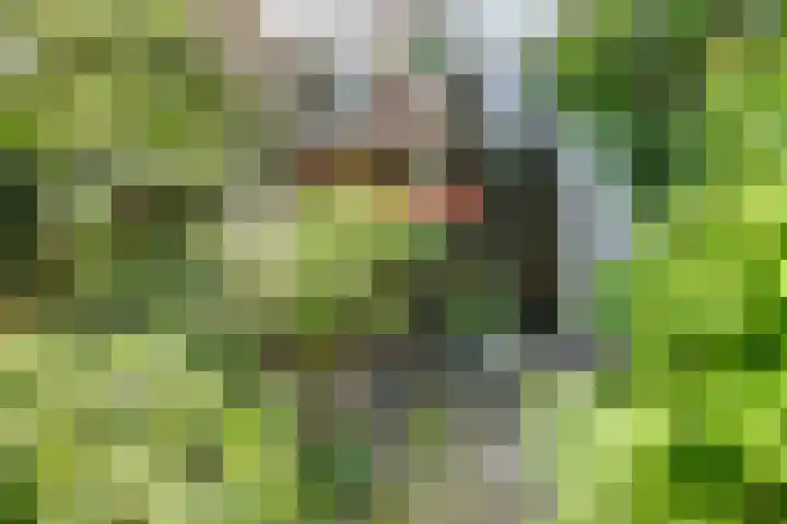 Annastraat 24 Arnhem thumbnail 42