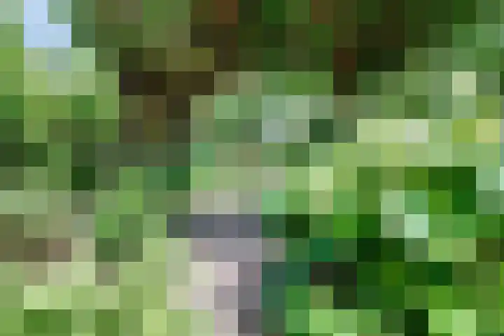 Annastraat 24 Arnhem thumbnail 43