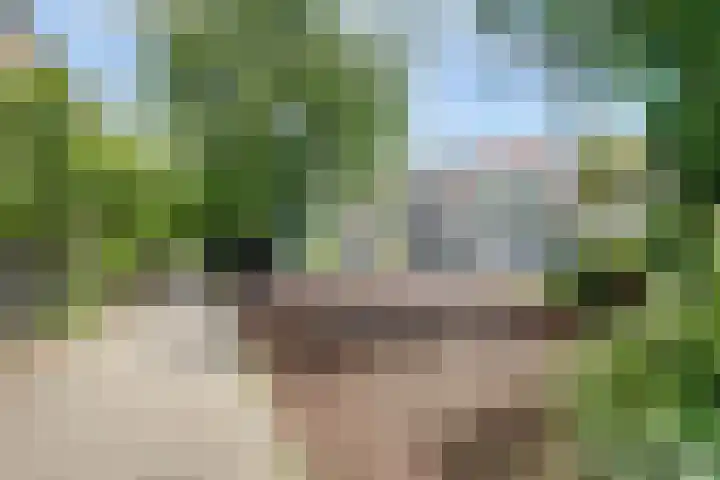 Annastraat 24 Arnhem thumbnail 44