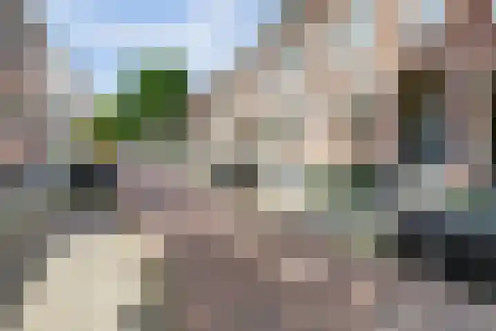 Annastraat 24 Arnhem thumbnail 45