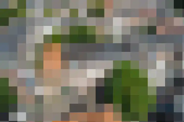 Annastraat 24 Arnhem thumbnail 48