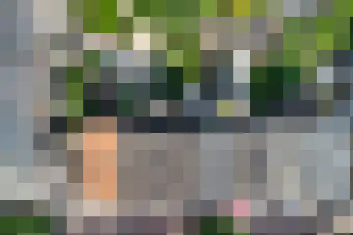 Annastraat 24 Arnhem thumbnail 49