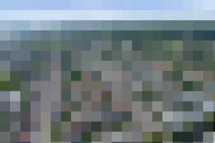 Annastraat 24 Arnhem thumbnail 51