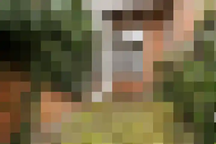 Annastraat 24 Groningen thumbnail 22