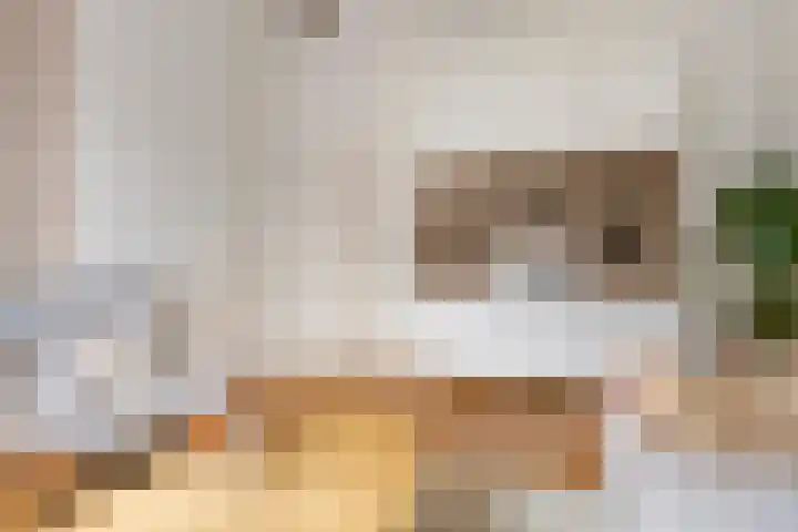 Annastraat 24 Groningen thumbnail 31