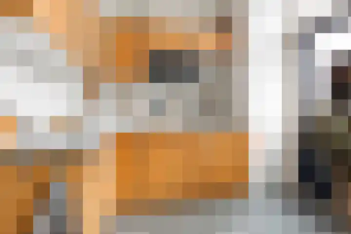Annastraat 24 Groningen thumbnail 33