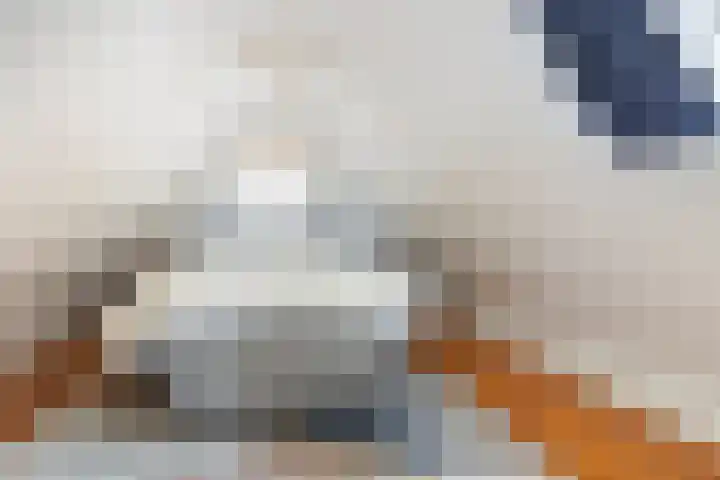 Annastraat 24 Groningen thumbnail 38