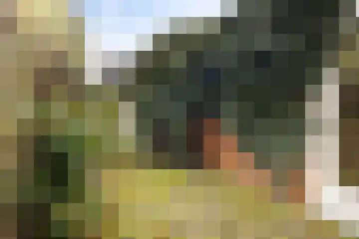 Annastraat 24 Groningen thumbnail 6