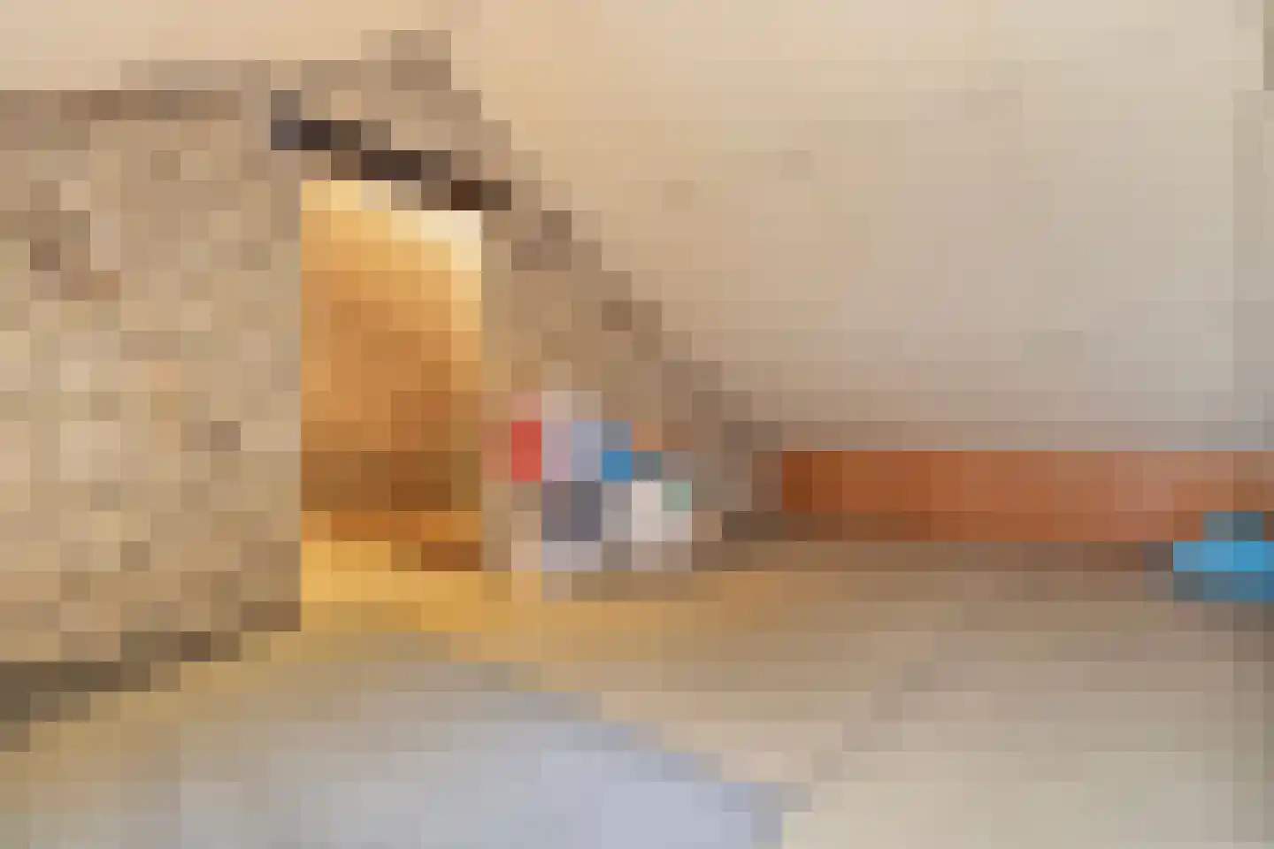 Annastraat 24 Kerkrade thumbnail 20