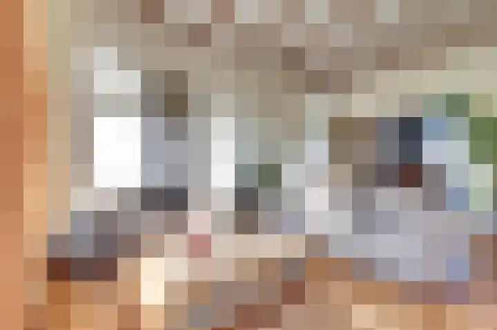 Annastraat 26 Arnhem thumbnail 10