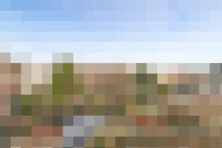 Annastraat 26 Arnhem thumbnail 47