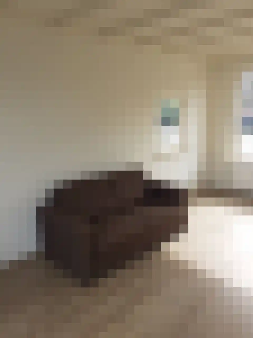 Annastraat 26 Velp thumbnail 6
