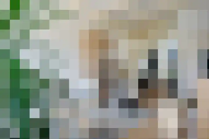 Annastraat 28 a Groningen thumbnail 10