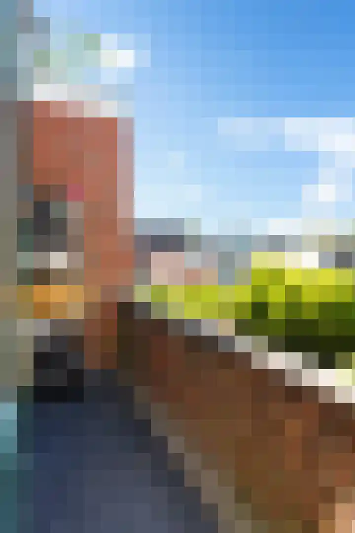 Annastraat 28 a Groningen thumbnail 18