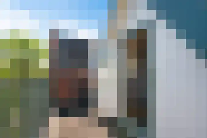 Annastraat 28 a Groningen thumbnail 26
