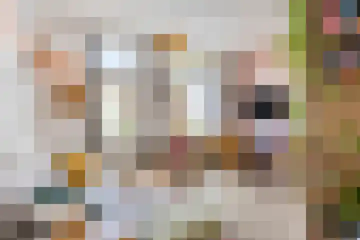 Annastraat 28 Groningen thumbnail 11