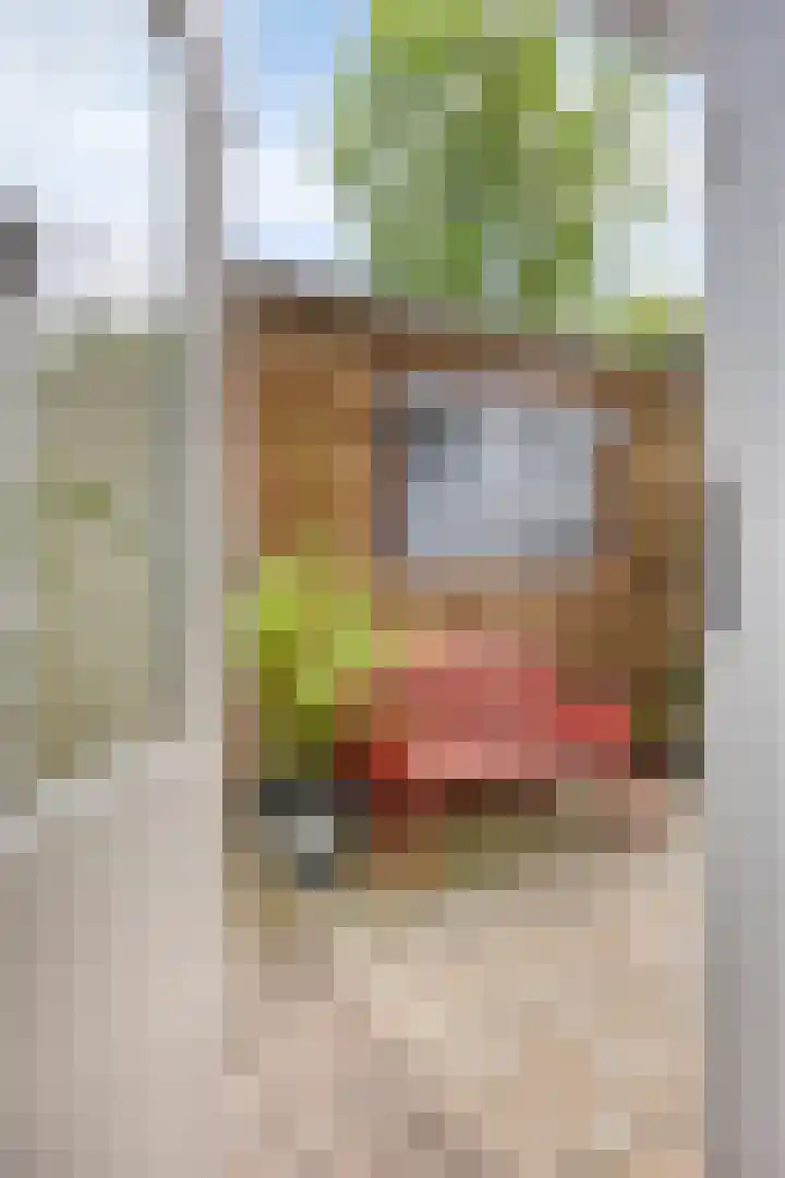 Annastraat 28 Groningen thumbnail 18