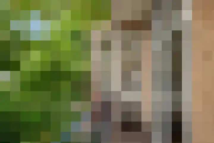 Annastraat 29 Delft thumbnail 31
