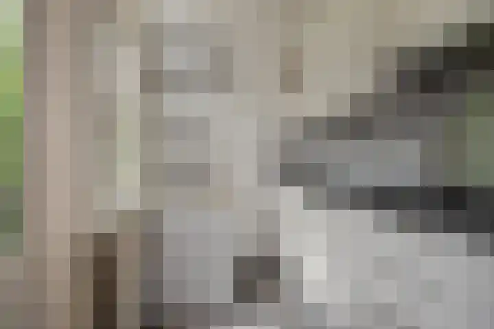 Annastraat 29 Delft thumbnail 5