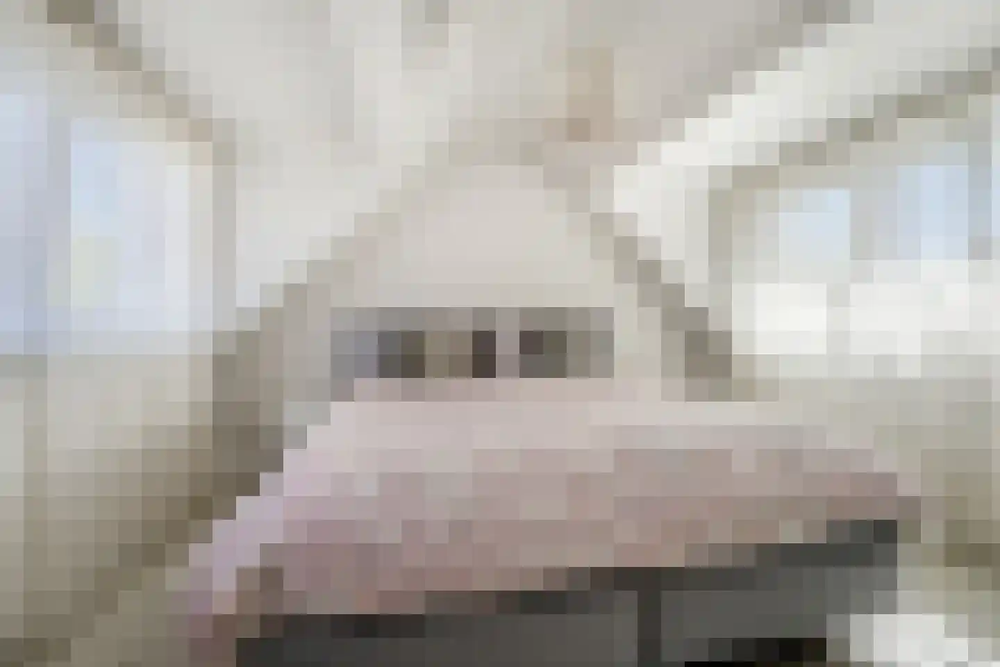 Annastraat 3 Katwijk thumbnail 30