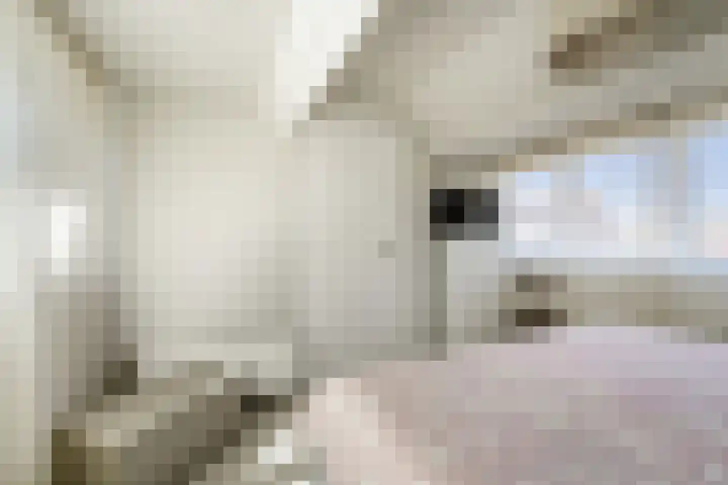 Annastraat 3 Katwijk thumbnail 31