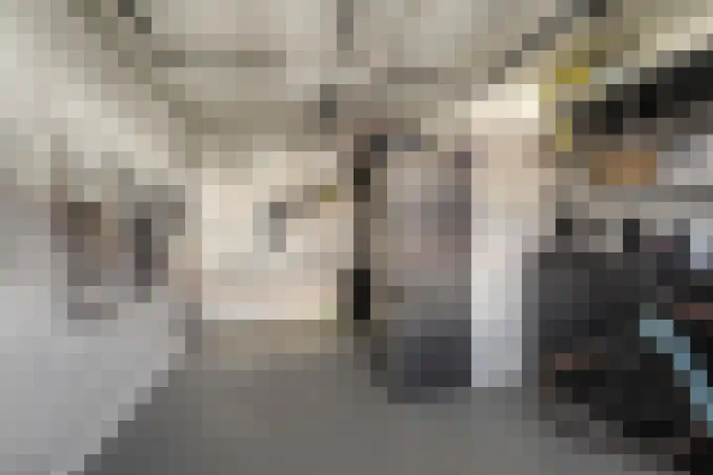Annastraat 3 Katwijk thumbnail 34