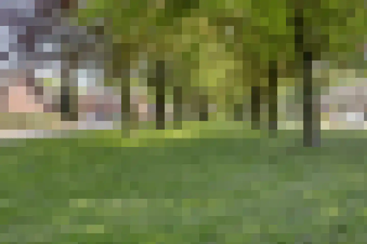 Annastraat 33 Beek thumbnail 31