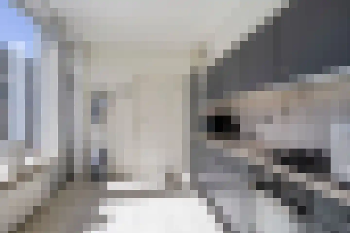 Annastraat 33 Beek thumbnail 9