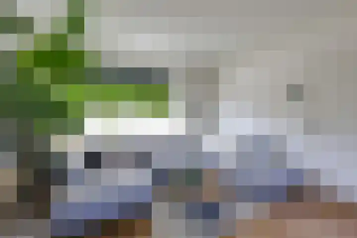 Annastraat 34 Velp thumbnail 12