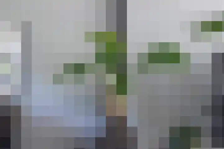 Annastraat 34 Velp thumbnail 15