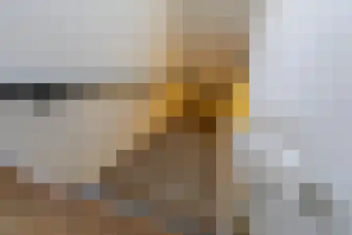 Annastraat 34 Velp thumbnail 27