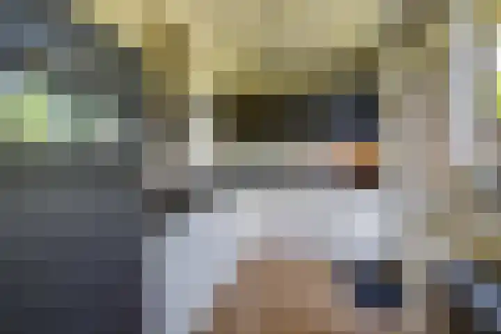 Annastraat 34 Velp foto 3