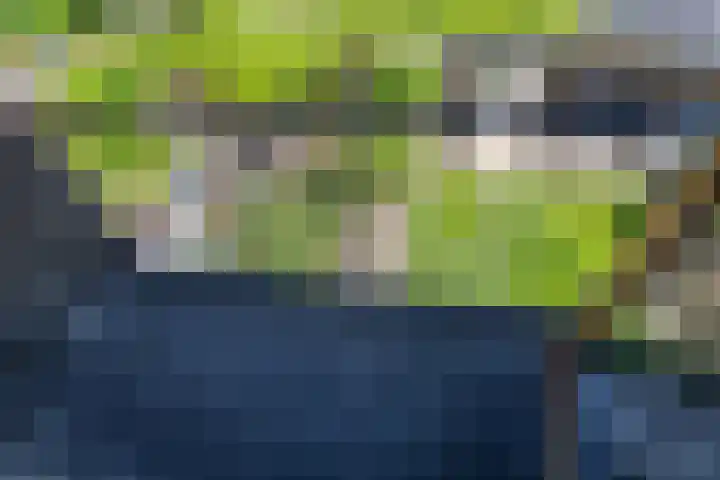 Annastraat 34 Velp thumbnail 36