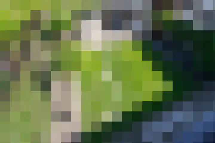 Annastraat 34 Velp thumbnail 38
