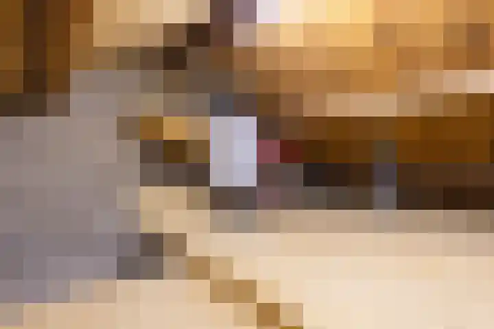 Annastraat 34 Velp thumbnail 49
