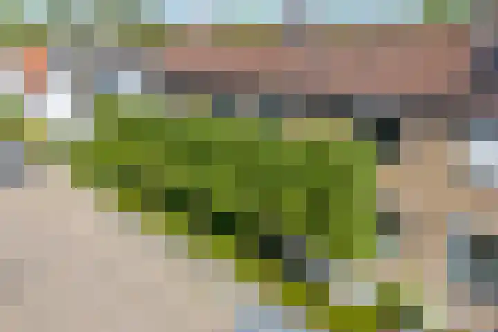 Annastraat 34 Velp thumbnail 5
