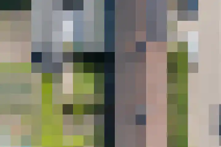 Annastraat 34 Velp thumbnail 50