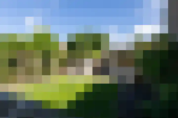 Annastraat 34 Velp thumbnail 57