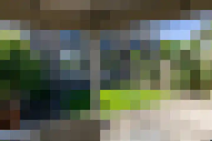 Annastraat 34 Velp thumbnail 62