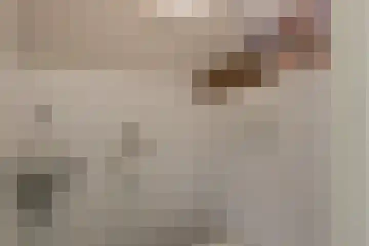Annastraat 34 Velp thumbnail 9
