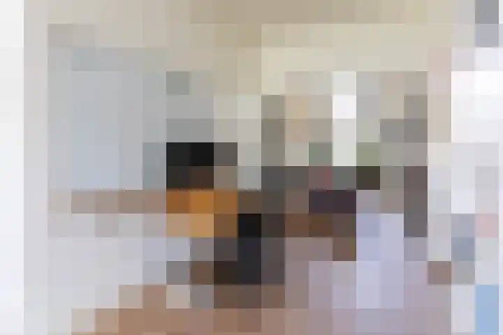 Annastraat 35 Delft thumbnail 11